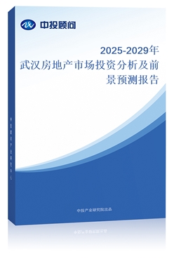 2025-2029hخa(chn)ЈͶYǰAy
